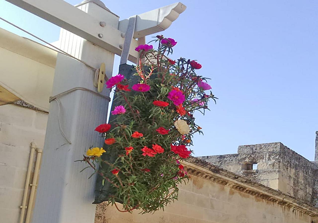 לצ'ה B&B Corte Dell' Idume מראה חיצוני תמונה